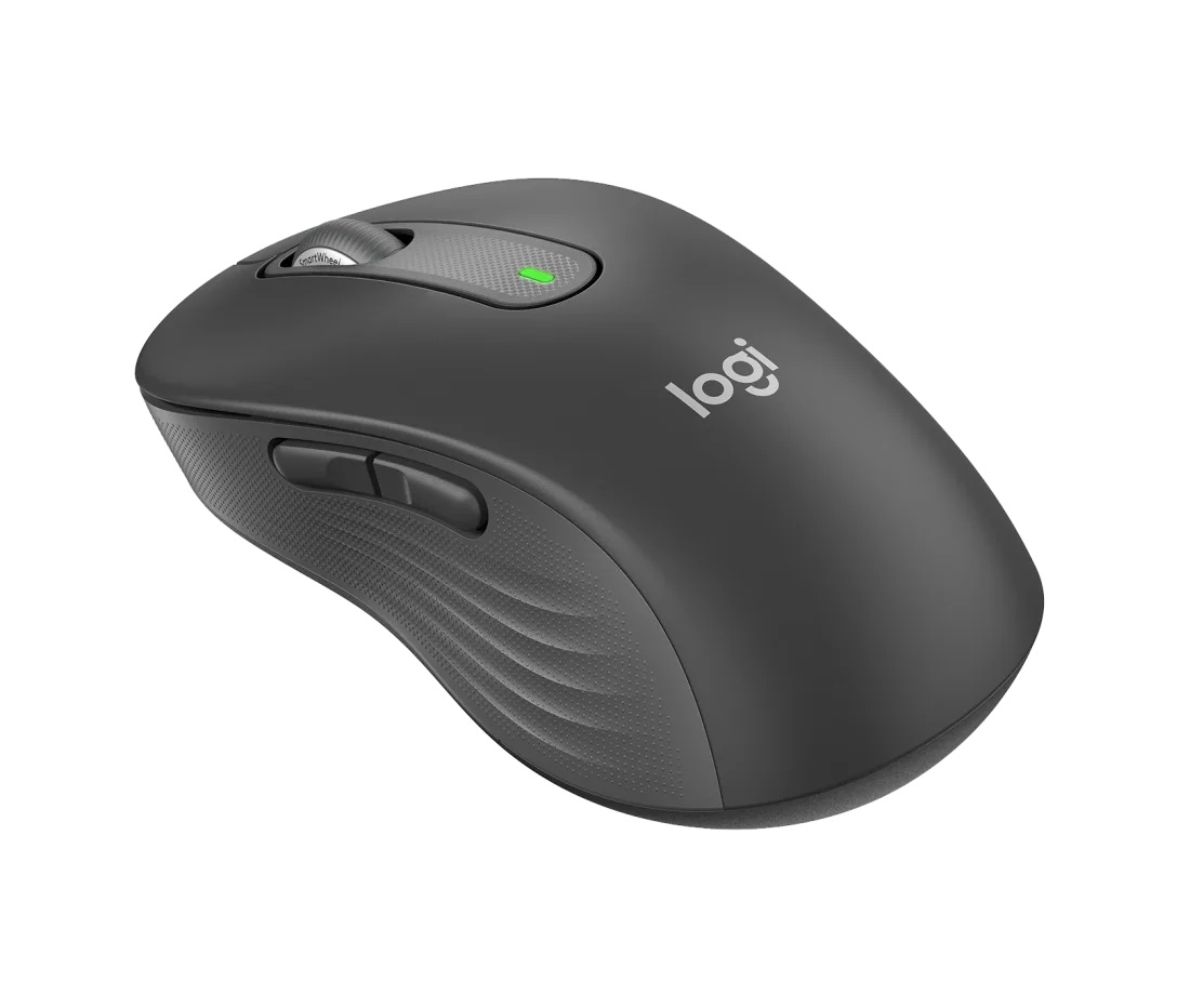 Mouse Logitech Wireless M650 L for Business Graphite