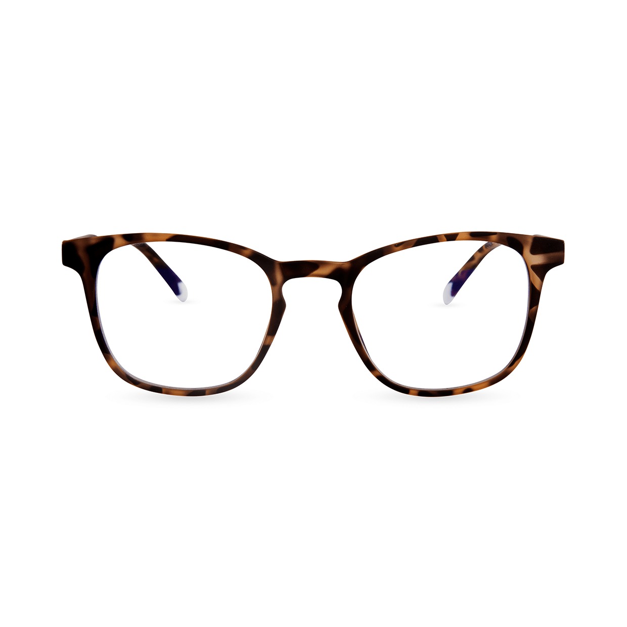 Glasses Barner Dalston Tortoise w/Blue Light Protection