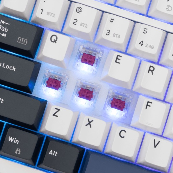 Keyboard White Shark Gaming Excalibur RGB Mechanical Wine Red Switch White