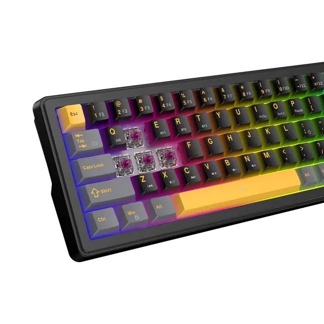 Keyboard White Shark Gaming Excalibur Compact 65% RGB Mechanical Wine Red Switch Black