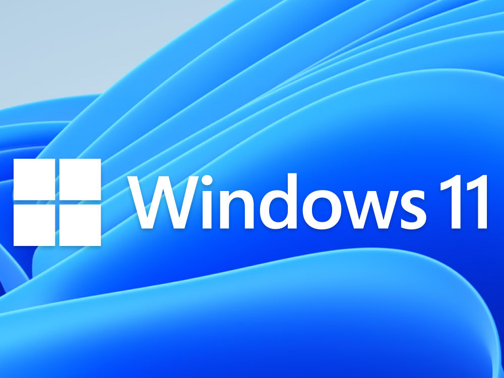 Windows 11 Pro 64-bit OEM DVD