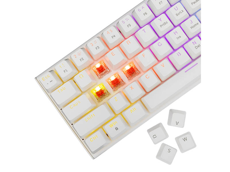 Keyboard White Shark Gaming Wakizashi 2 60% Mechanical RGB White Red Switch