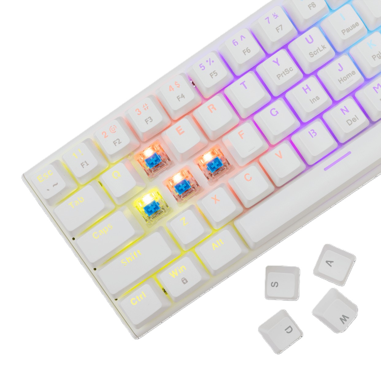 Keyboard White Shark Gaming Wakizashi 2 60% Mechanical RGB White Blue Switch