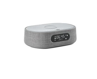 Harman Kardon Citation Oasis Portable Bluetooth Speaker Grey
