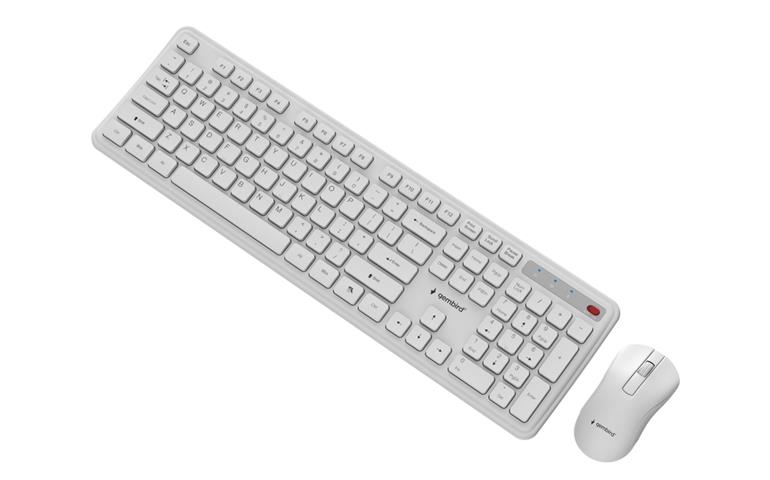 Keyboard KBS-WPS-01 Wireless Business Pro+ Opt.Mouse White