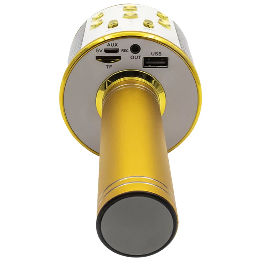 Microphone Bluetooth Karaoke Denver w/BT, Speaker & microSD Card Gold