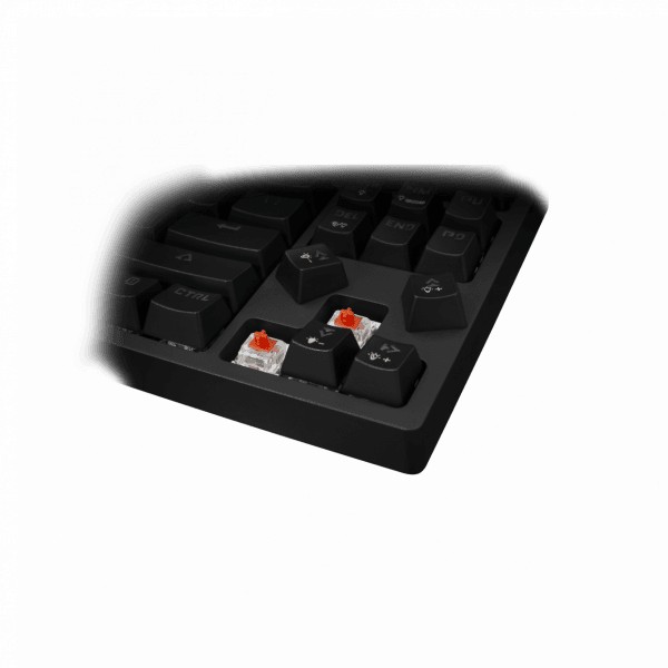 Keyboard White Shark Premium Gaming Kodachi TKL Mechanical Per Key RGB