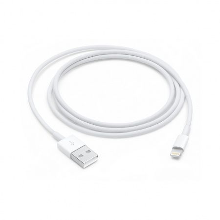 Apple Lightning to USB cable 1m