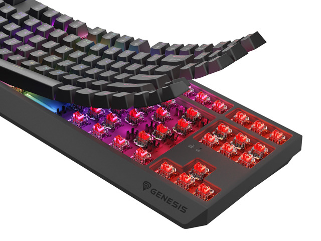 Keyboard Genesis Gaming Thor 230 TKL Wireless Mechanical RGB Black Outemu Red Switches